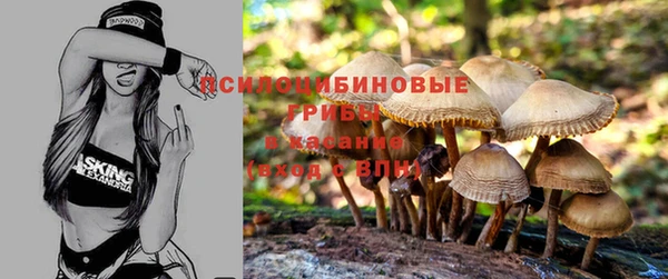 эйфоретик Костерёво