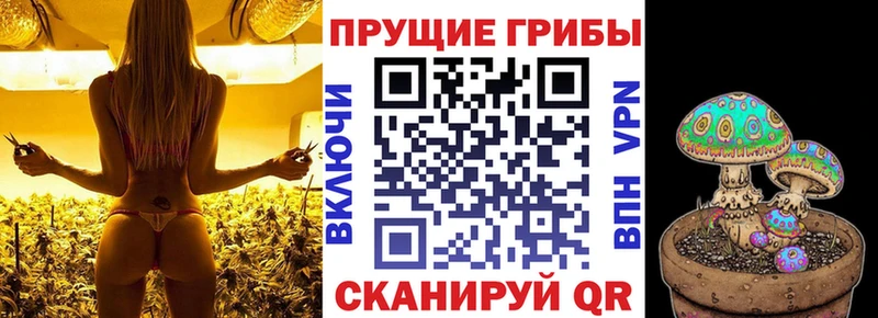 Псилоцибиновые грибы мицелий  Красновишерск 